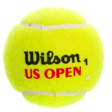 Теннисный мяч 3 шт Wilson US OPEN WRT1071