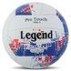 Мяч волейбольный LEGEND VB-4071 цвет белый-синий