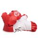 Боксерский набор детский (перчатки+мешок) h-52 см, d-20 см BO-4675-L, Красный