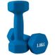 Гантели неопреновые для фитнеса цельные литые виниловые 2 шт по 1 кг 80024-N1, Голубой