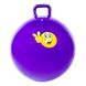 Детский надувной мяч фитбол 65см Iron Master IR97401C, Разные цвета