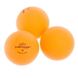 Комплект для настольного тенниса 2 ракетки, 3 мяча, сетка с креплением с чехлом DUNLOP 679212