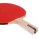 Комплект для настольного тенниса 2 ракетки, 3 мяча, сетка с креплением с чехлом DUNLOP 679212